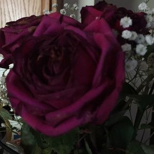 Meet your Posher, Ju